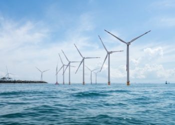 O futuro é verde e está nas nossas águas