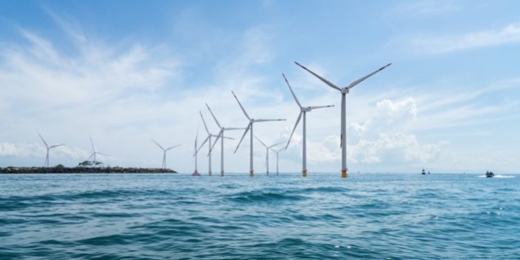 O futuro é verde e está nas nossas águas