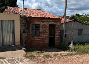 Polícia investiga caso de maus-tratos contra animal em Assú