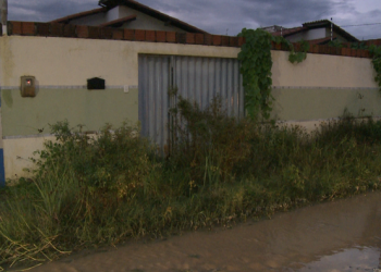 Maus-tratos: dois cachorros mortos e dois desnutridos são encontrados no Bairro Sumaré