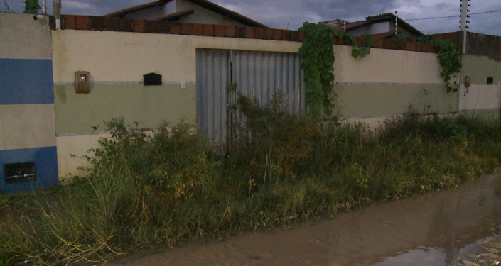 Maus-tratos: dois cachorros mortos e dois desnutridos são encontrados no Bairro Sumaré