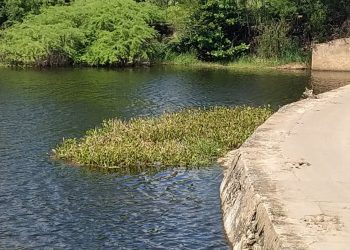 Corpo é encontrado boiando no Rio Mossoró, polícia investiga identidade