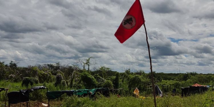 500 famílias ocupam terreno às margens da BR-405 em Mossoró