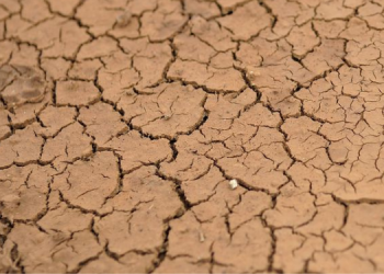 Cinco cidades potiguares têm situação de emergência reconhecida pela Defesa Civil Nacional