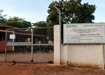 Justiça bloqueia mais R$ 229 mil das contas de granja por descumprir medidas sanitárias