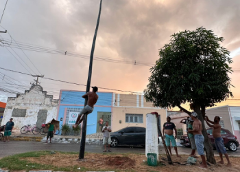 Confira imagens do primeiro dia do Pau de Sebo da Princesa