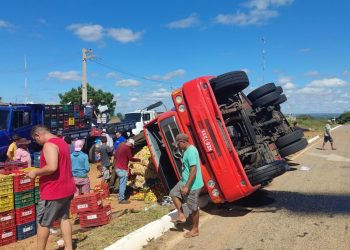 Caminhão carregado com frutas e legumes tomba na BR-405