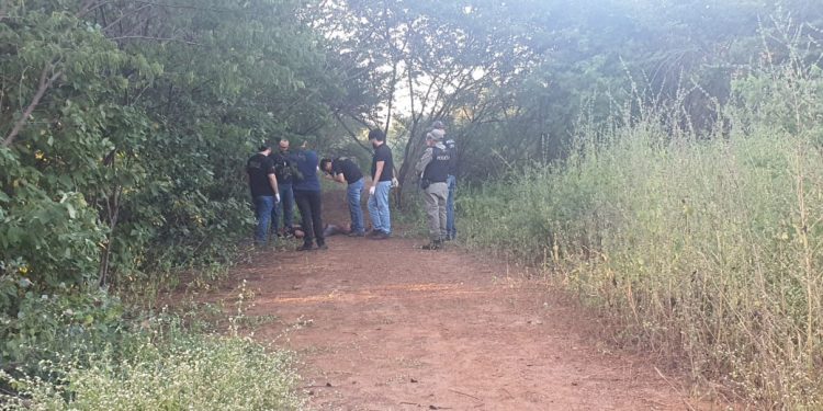 Homem é assassinado a pedradas e pauladas em zona rural de Baraúna