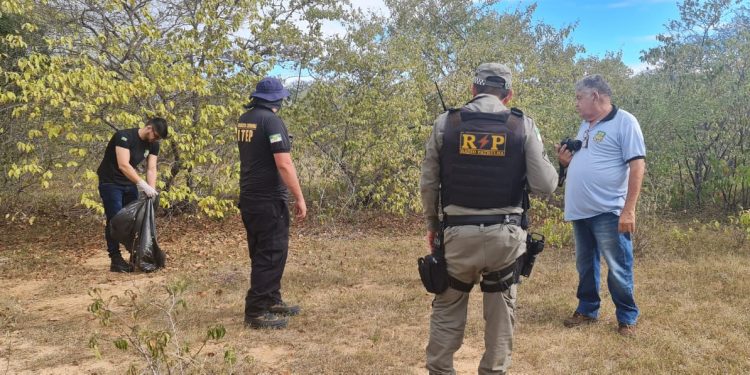 Ossada humana é encontrada na zona rural de Upanema