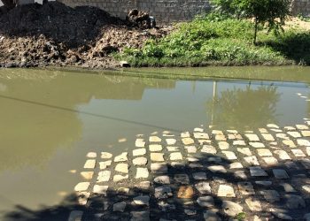 Esgoto a céu aberto incomoda moradores do Bairro Barrocas
