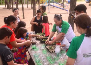 “Férias no parque” é uma opção de diversão e lazer para crianças em Mossoró