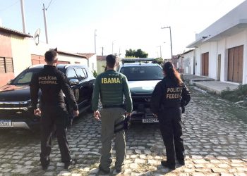 Homem é preso por caça ilegal de animais silvestres em Martins