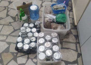 Laboratório clandestino que fabrica a droga “cogumelo” é encontrado em Mossoró