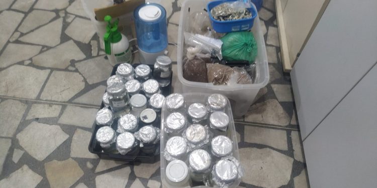 Laboratório clandestino que fabrica a droga “cogumelo” é encontrado em Mossoró