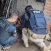 Sucatas ilegais são alvo de mandados de busca e apreensão em Pau dos Ferros