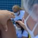 Mossoró segue com vacinação contra a Influenza até 31 de agosto