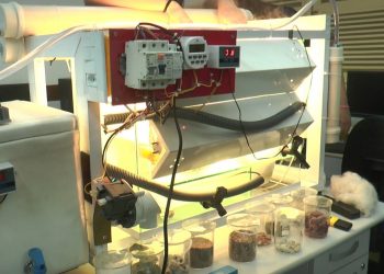 Projeto científico pretende dessalinizar água salobra e transformá-la boa para consumo