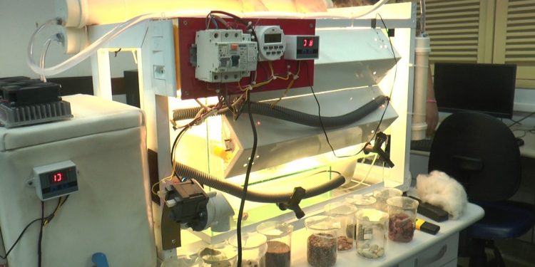 Projeto científico pretende dessalinizar água salobra e transformá-la boa para consumo