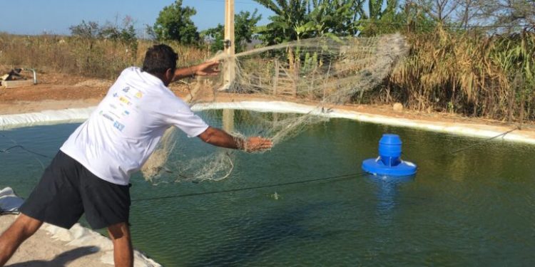 Pesquisa desenvolvida em Mossoró concorre a prêmio mundial de dessalinização