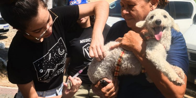 Confira os pontos da vacinação antirrábica em Mossoró nesta sexta (15)