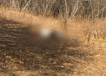 Dois corpos com marcas de violência são encontrados em Encanto