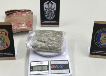 PF apreende maconha enviada via postal para o RN