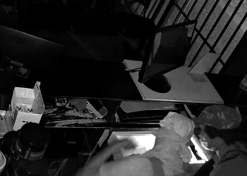 Criminosos arrombam academia, furtam TVs e suplementos