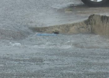 Caern alerta sobre riscos na remoção de tampas da rede de esgoto para escoar água de chuva