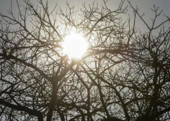 Inmet alerta sobre baixa umidade do ar em 79 cidades do RN