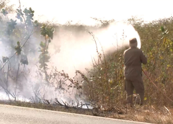 Queimadas em vegetação têm aumento de 32,2% no RN