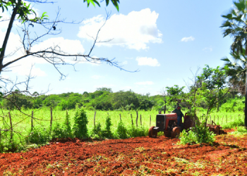 Prefeitura de Mossoró inicia inscrições do Programa Semear 2024
