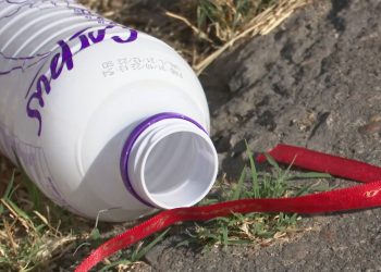 Secretaria da Saúde Pública divulga balanço de casos de arboviroses no RN