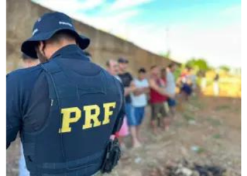 Pássaros silvestres são resgatados em feira clandestina no bairro Belo Horizonte