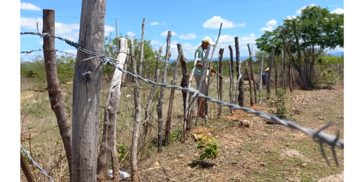 Pau dos Ferros tem situação de seca decretada