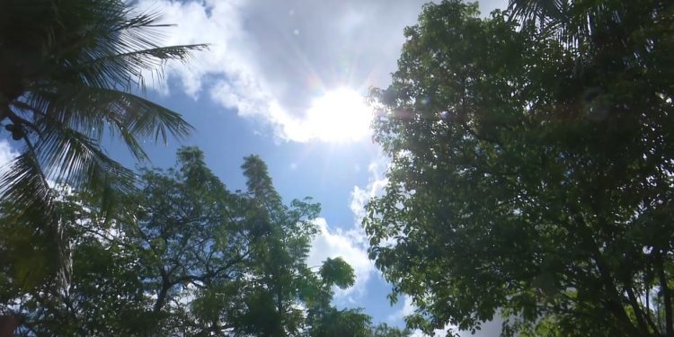 Dezembro Laranja alerta sobre os riscos do câncer de pele