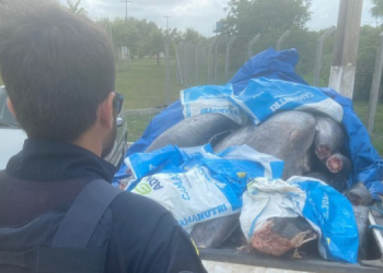 700kg de atum são apreendidos por transporte ilegal em João Câmara