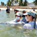 Projeto Cetáceos e Cemam atendem 24 animais marinhos encalhados em 17 dias  