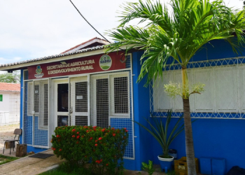 Secretaria de Agricultura promove “Dia de Campo” na quarta (31) sobre criação de camarões em viveiros