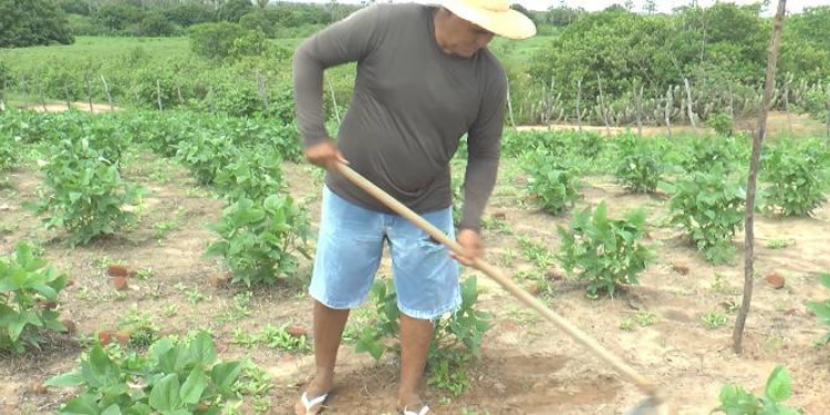 Agricultores confiam em tradições para prever chuvas em 2024