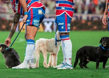 Jogadores do Potiguar entrarão em campo com cachorros em campanha de adoção