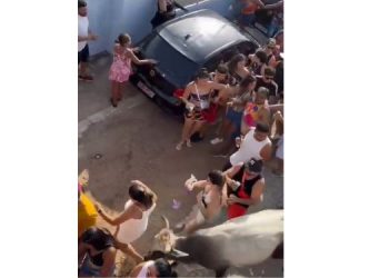 Touro invade bloco de Carnaval e chifra foliões em Pendências; veja vídeo