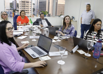 Projeto do Porto-Indústria Verde é apresentado para investidores