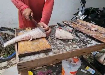 Projeto “Peixe Popular” segue com vendas em Mossoró até sexta (29)