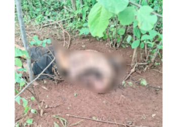 Homem encontrado morto com mãos amarradas em Upanema é identificado