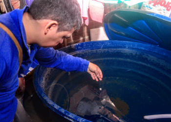 Santo Antônio recebe ações de combate à dengue neste sábado (16) em Mossoró