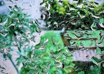 Adormeci com uma decisão tomada