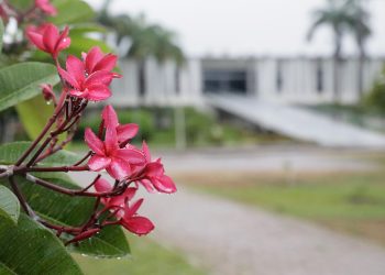 Previsão para próximo trimestre é de chuvas acima da média no RN