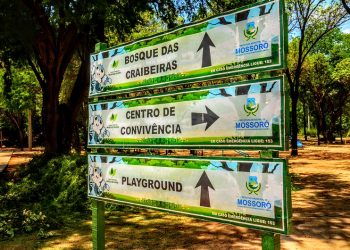 Semana do Meio Ambiente 2024 debaterá “Cuidando do nosso planeta: restaurando a terra, preservando o futuro”