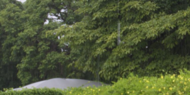 Emparn prevê chuvas entre normal a acima da média para Leste e Agreste do RN