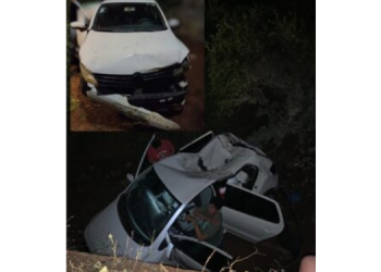 Animal morto na pista provoca acidente na BR-110 no município de Upanema